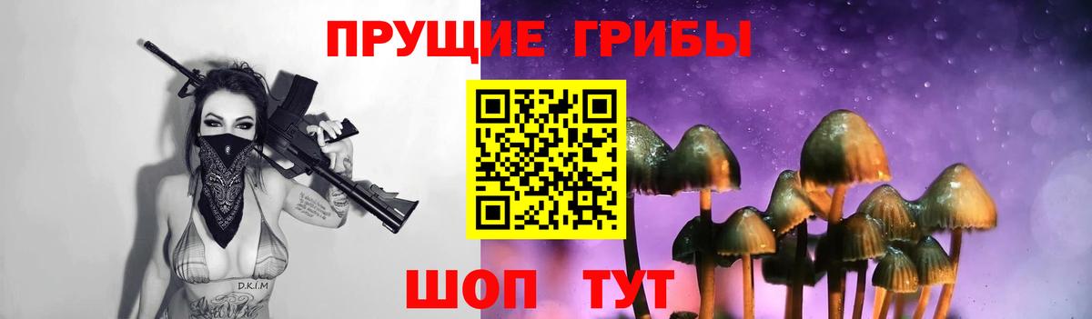 Семилуки  Псилоцибиновые грибы Cubensis  Вход с VPN 